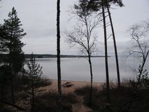 Онего